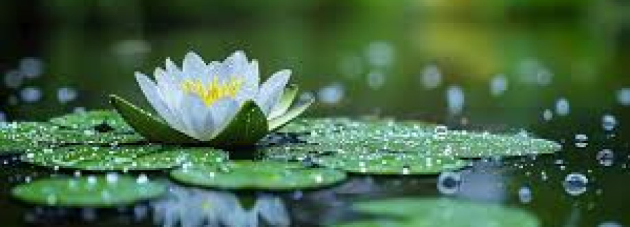 Blake smith Cover Image