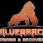 Silverback Towing Profile Picture