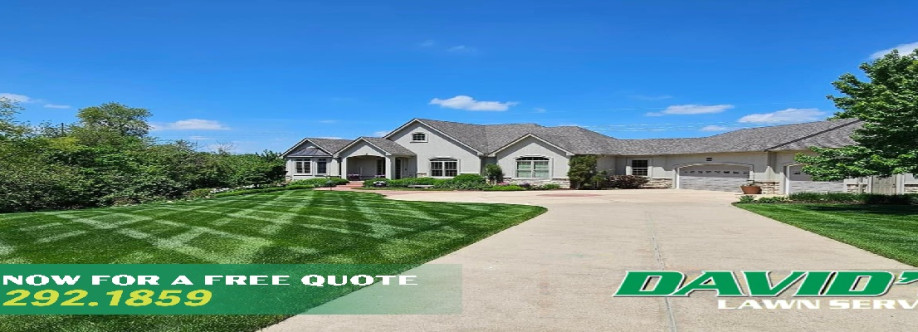 davidslawnservice Cover Image