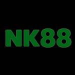 NK88 ORTOPEDICO Profile Picture